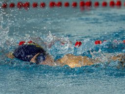 Photos Saison 2023-2024 &raquo; Mini Neuf Cube #1 - Parc Aquatique du Raincy